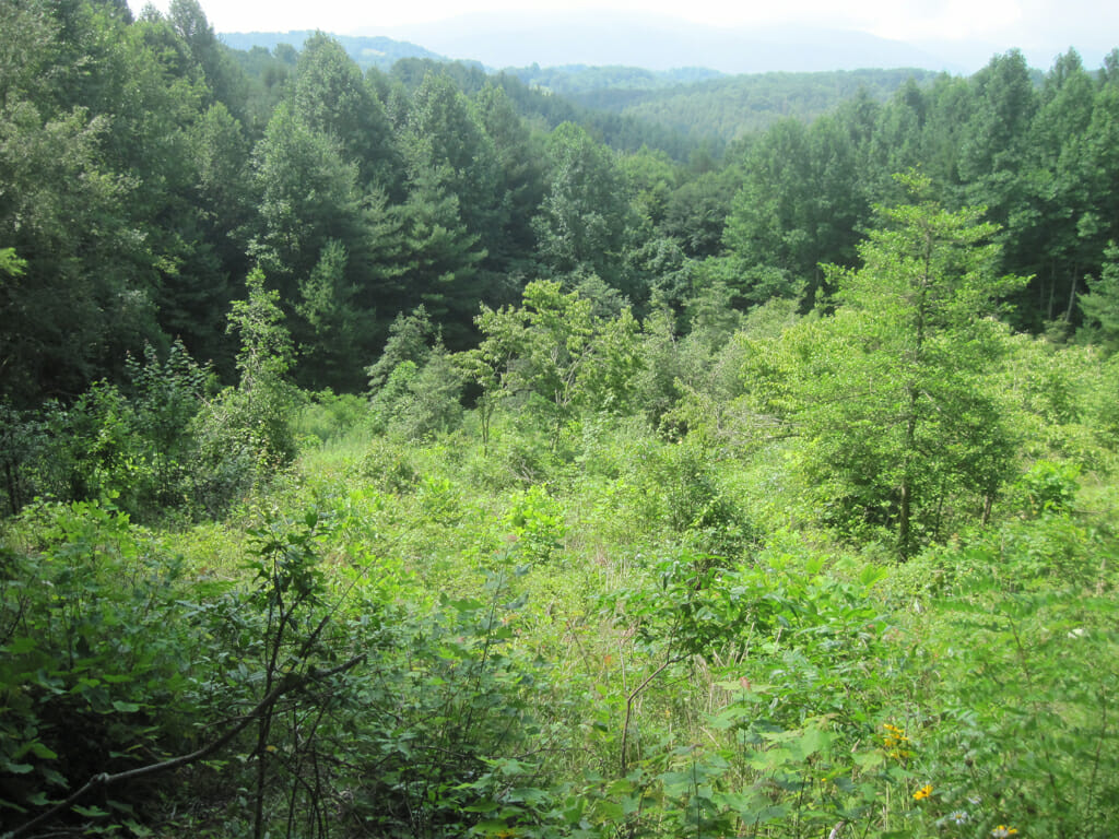 View from the Vango Abbey Bench