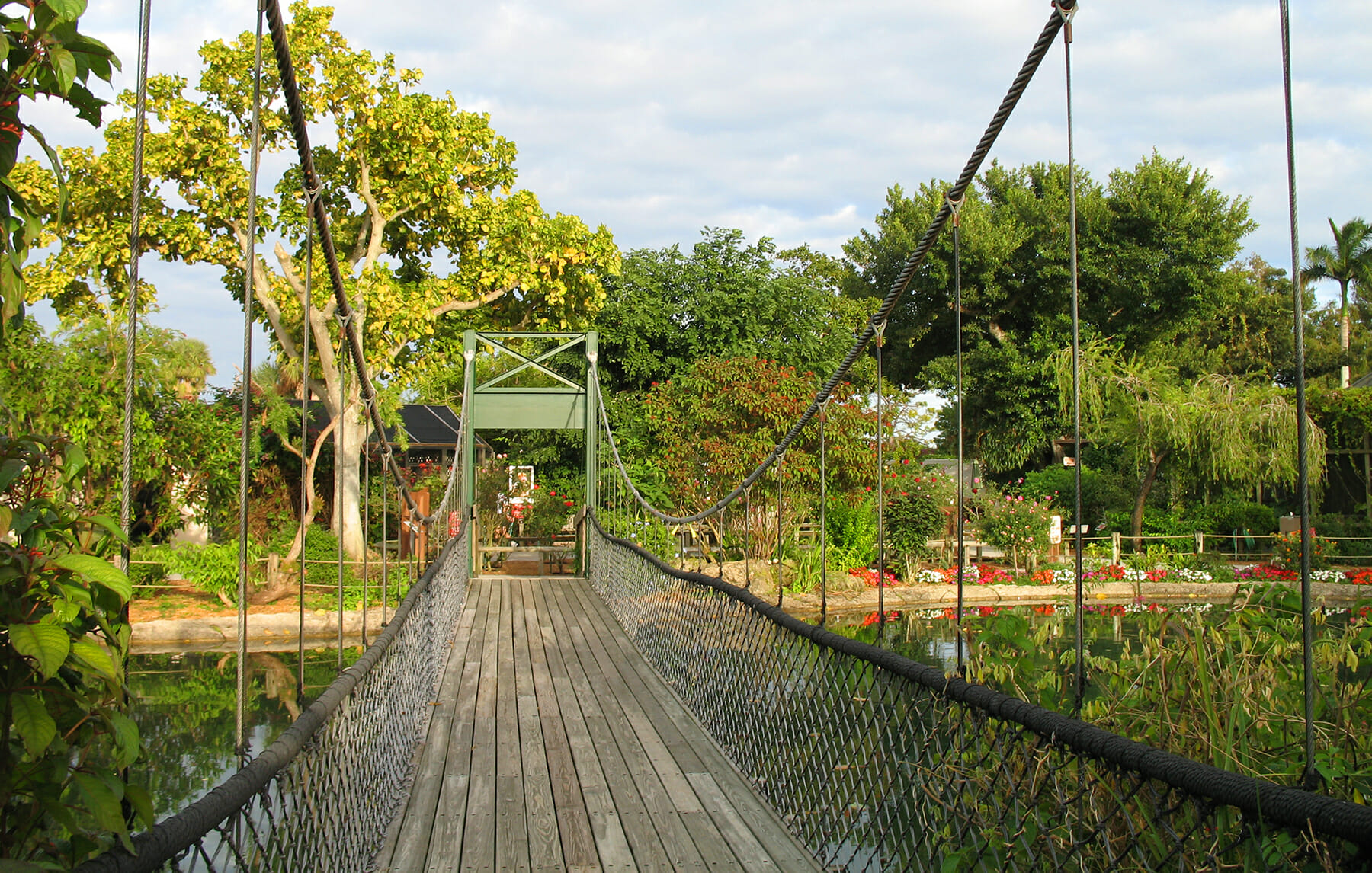 Swinging bridge at Butterfly World
