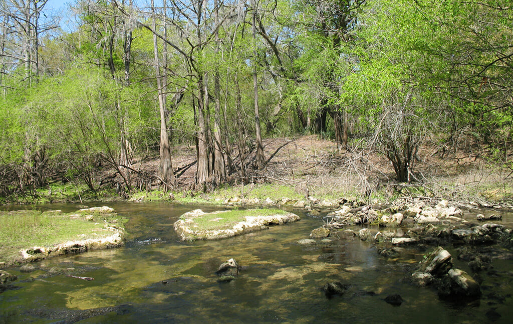 Spring run at Allen Mill Pond