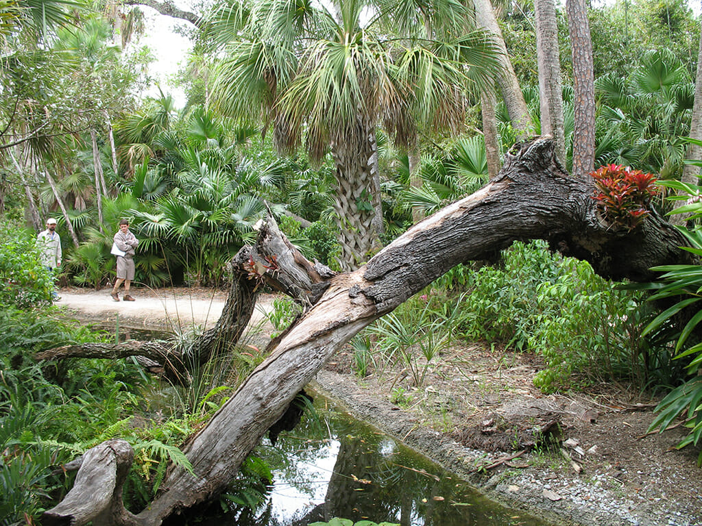 McKee Botanical Garden