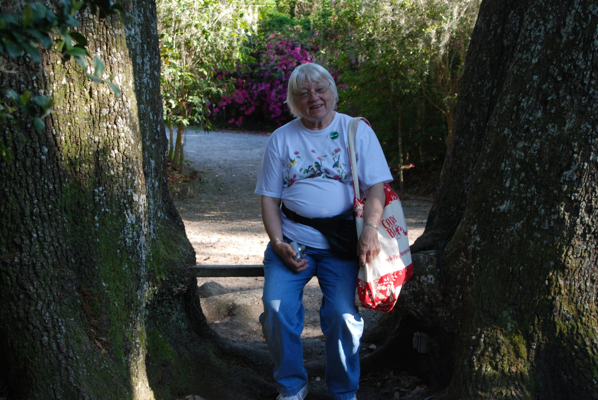 Woman sitting on a bench between two large tree trunks