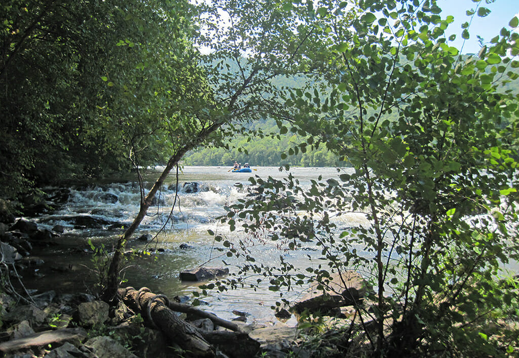 French Broad River rapids