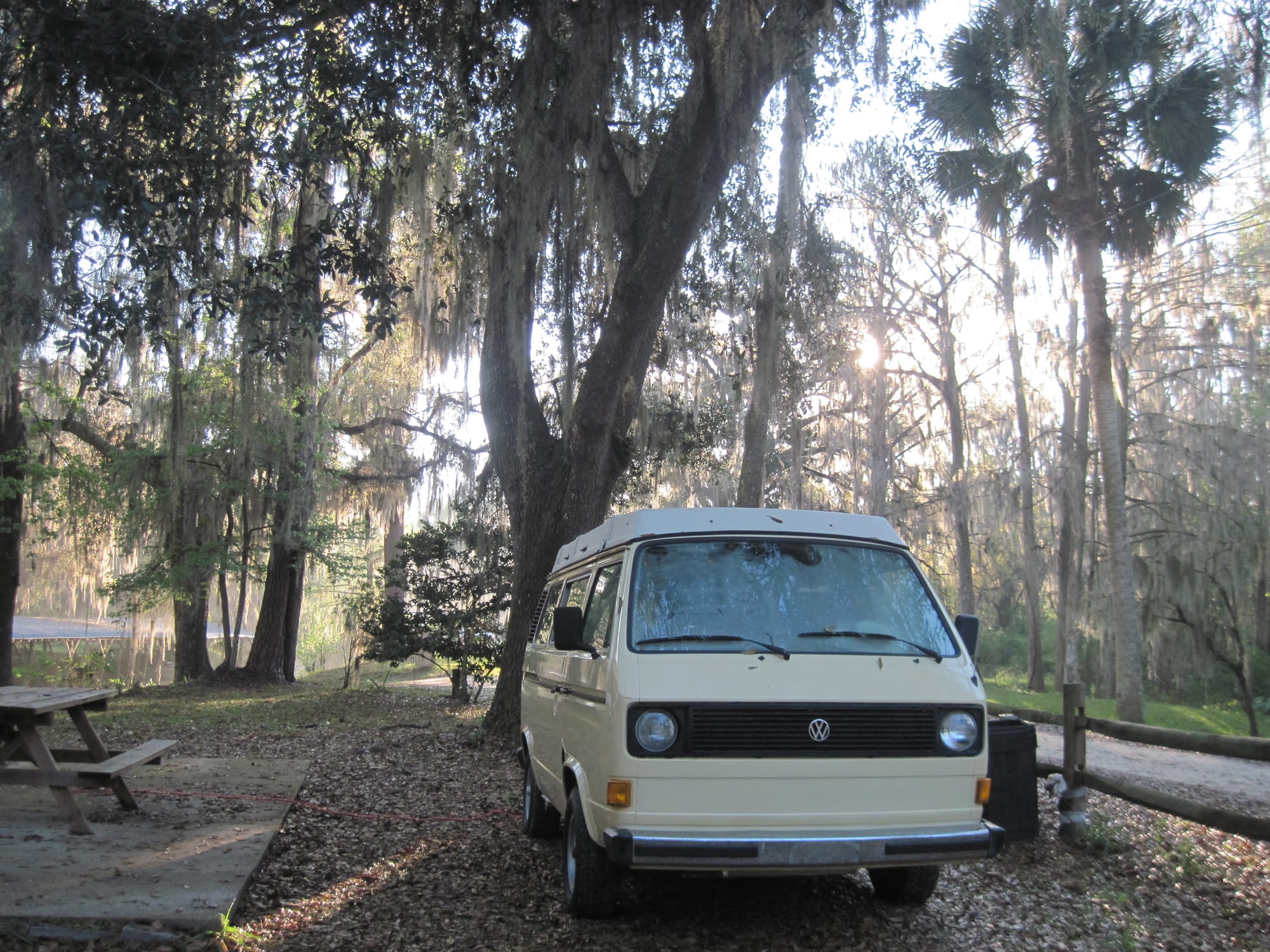 VW Westy under a live oak canopy