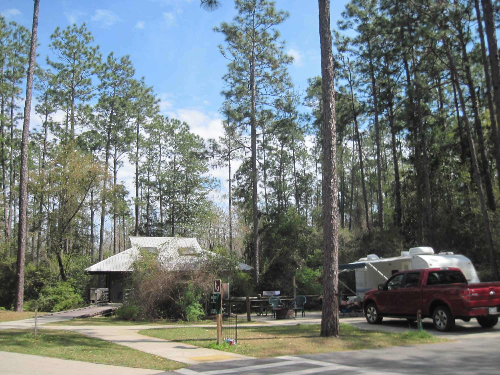 Building with skylights under tall pines