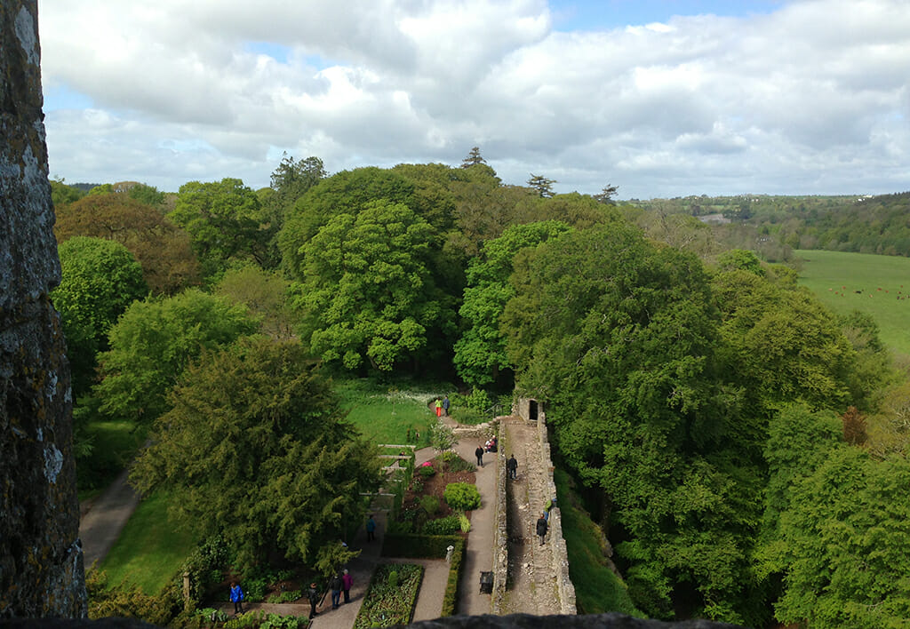 Blarney Castle view