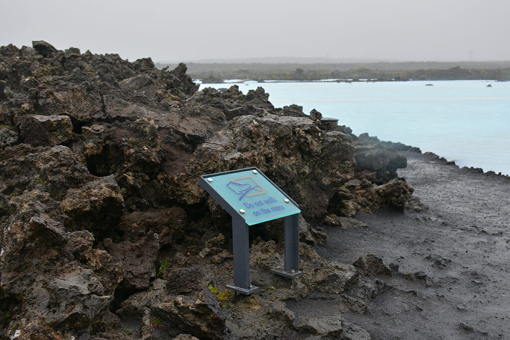 Iceland lichens at Blue Lagoon