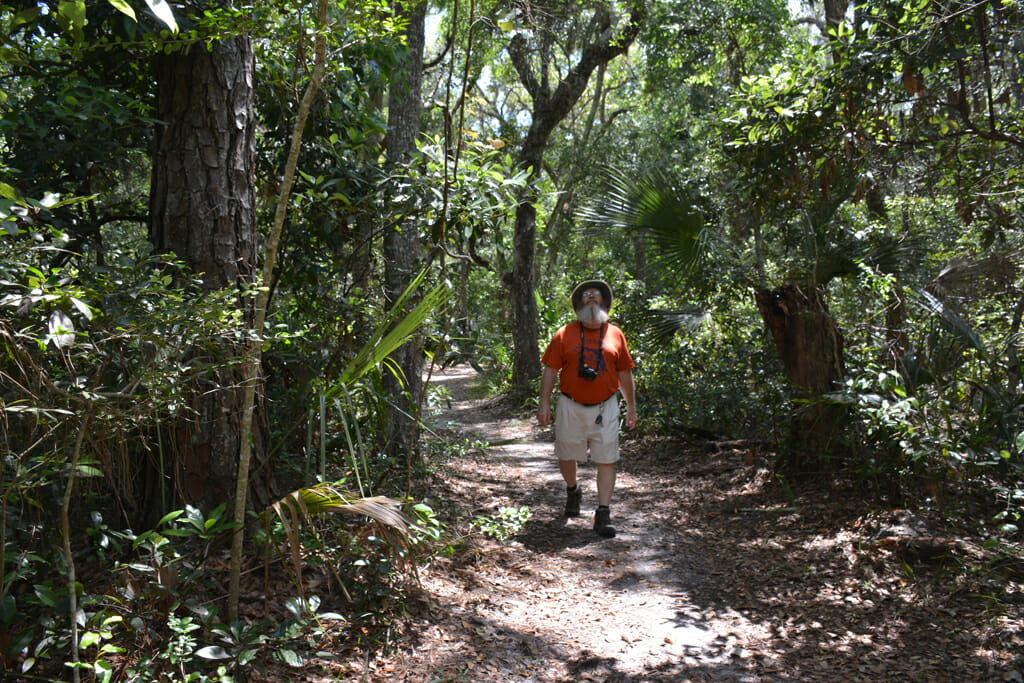 The Bella Vista Trail Washington Oaks
