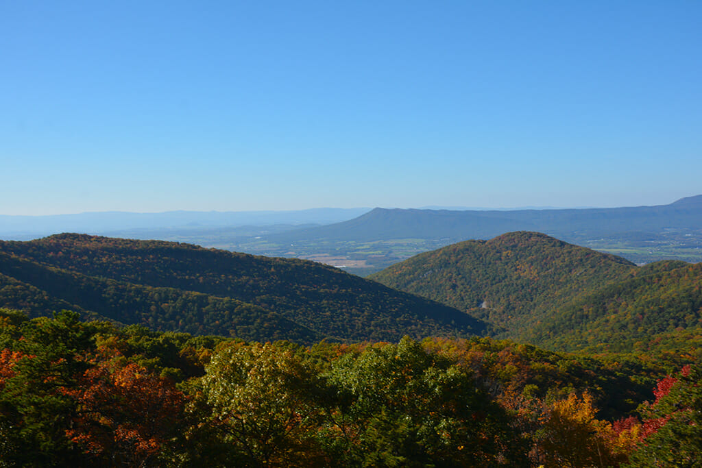 Two Mile Run overlook