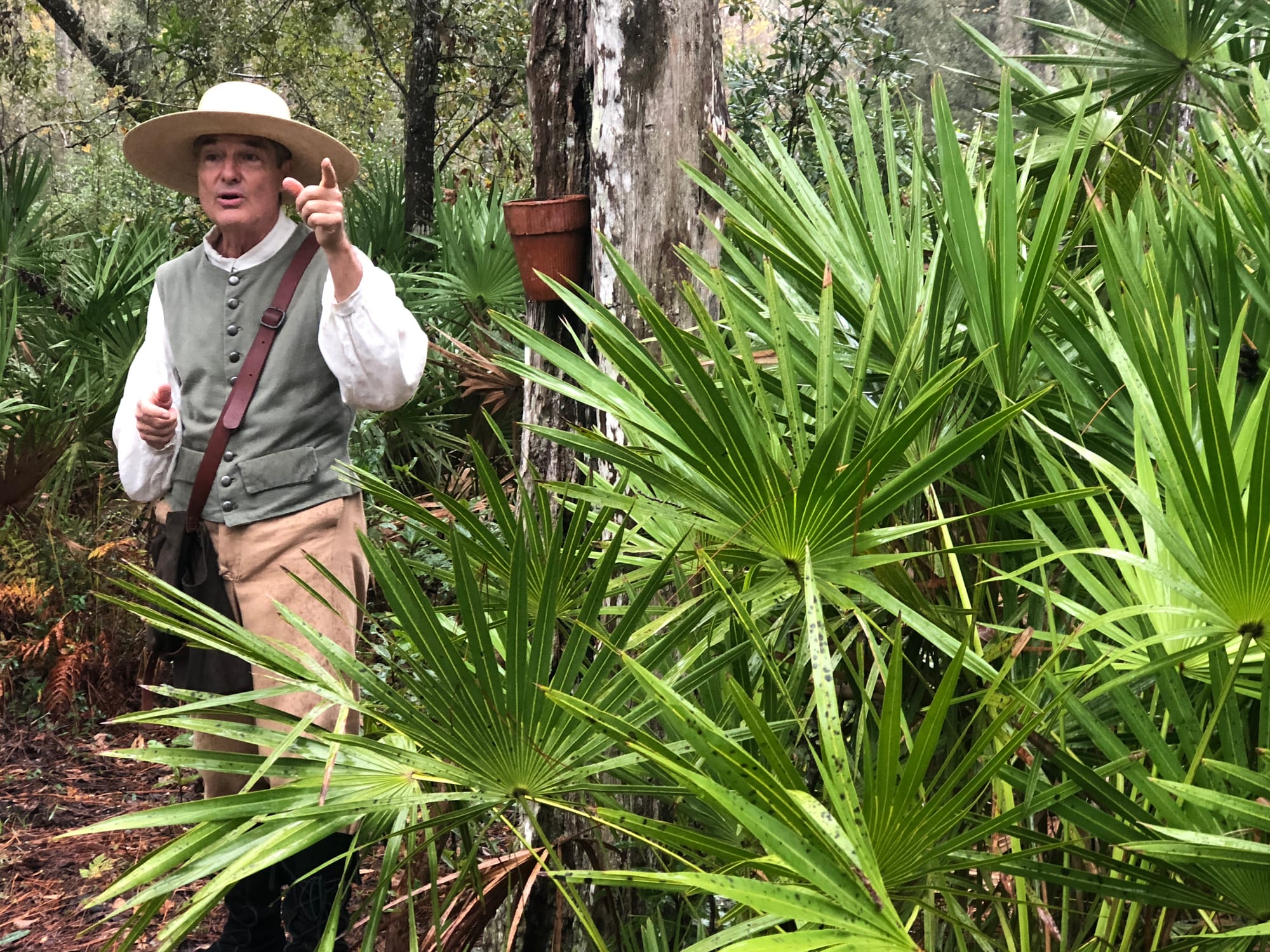 Man in colonial outfit standing in woods next to a turpentine tapping cup on a pine