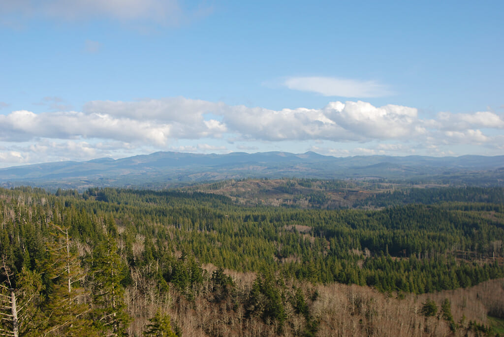 Looking east towards the mountains