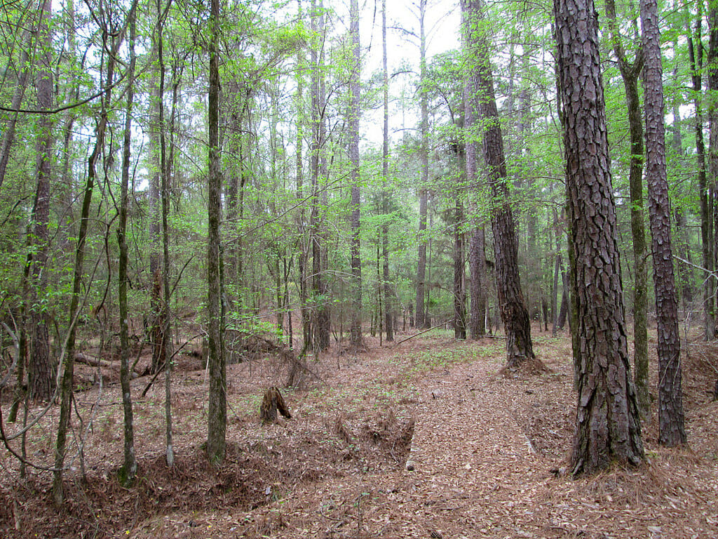 Baker Creek State Park