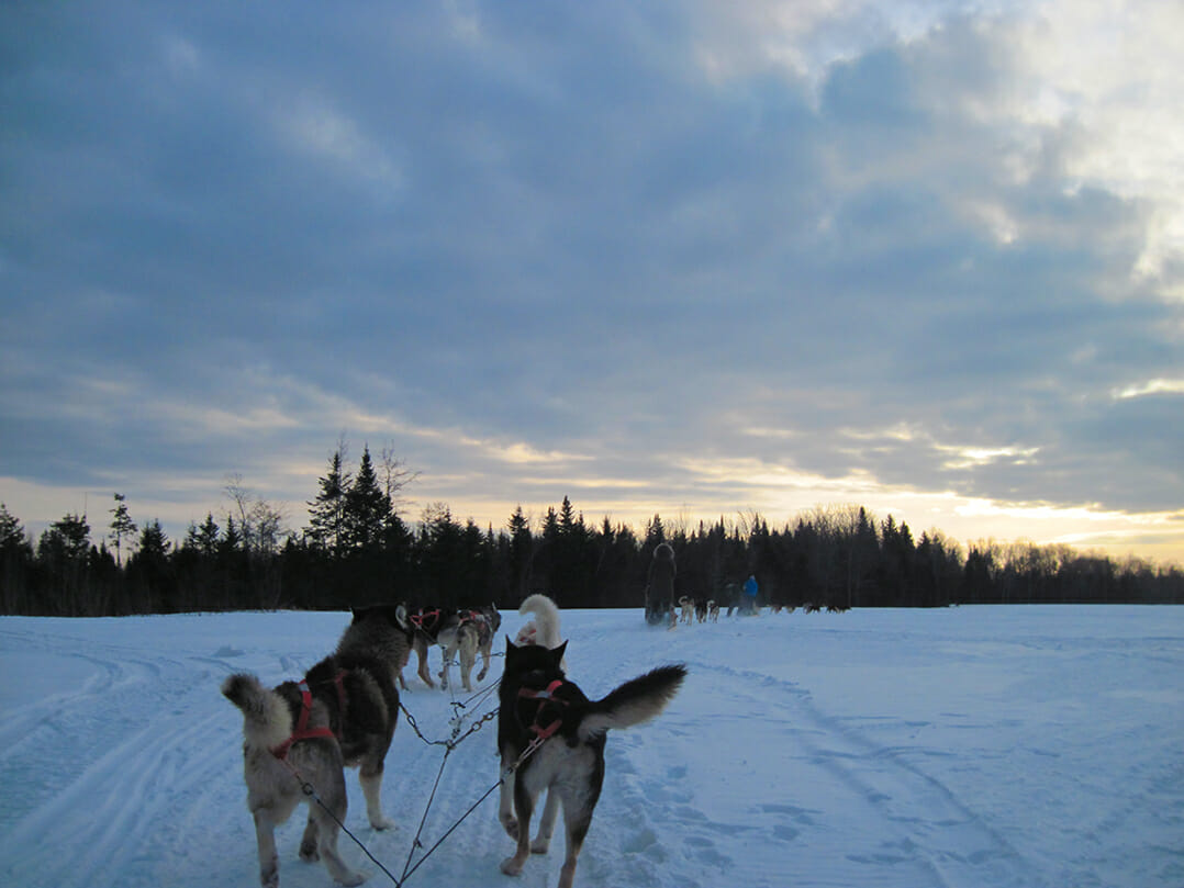 Crossing a snowy expanse by dogsled