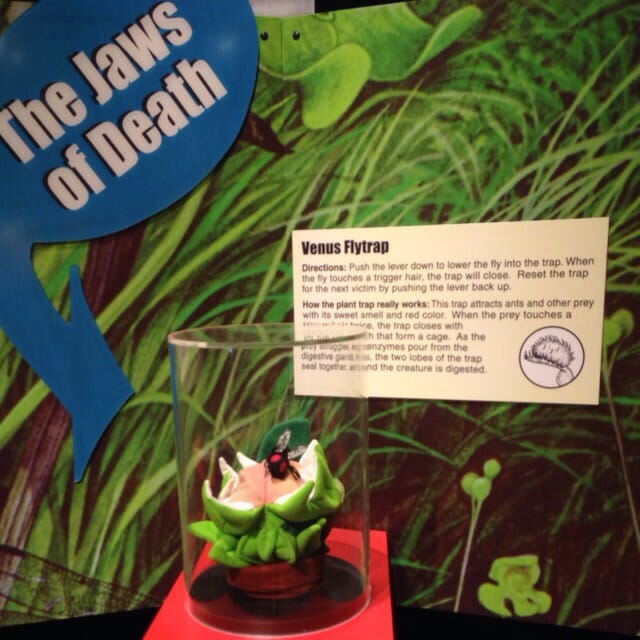 Carolina Beach visitor center