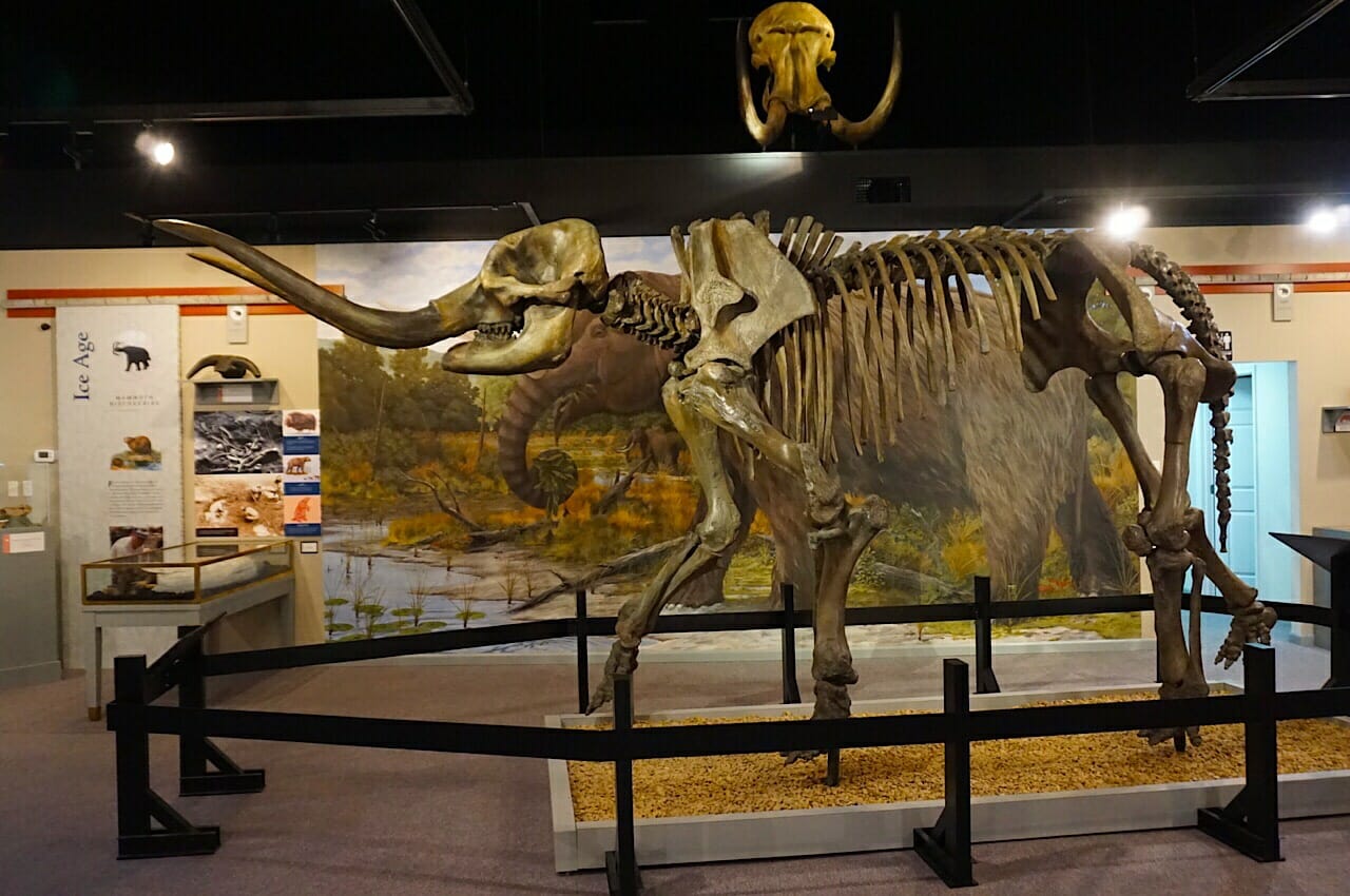 Saltville mastodon 
