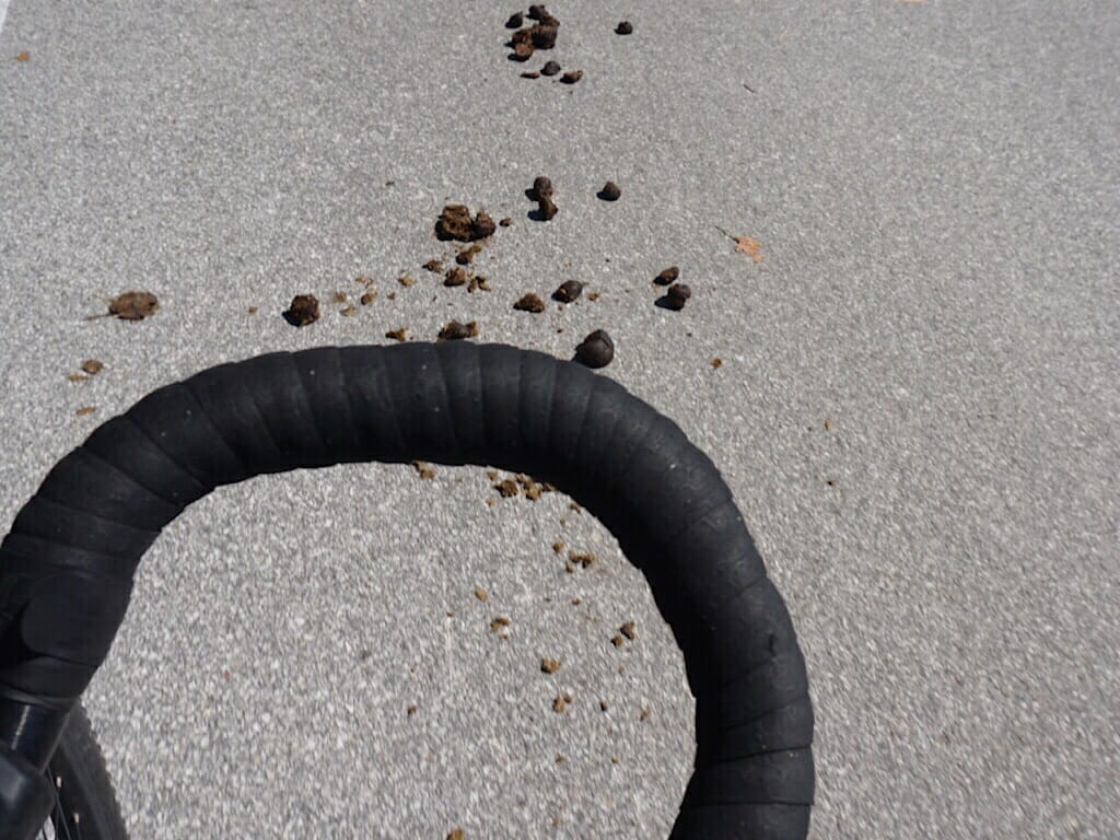 Road apples Mackinac 