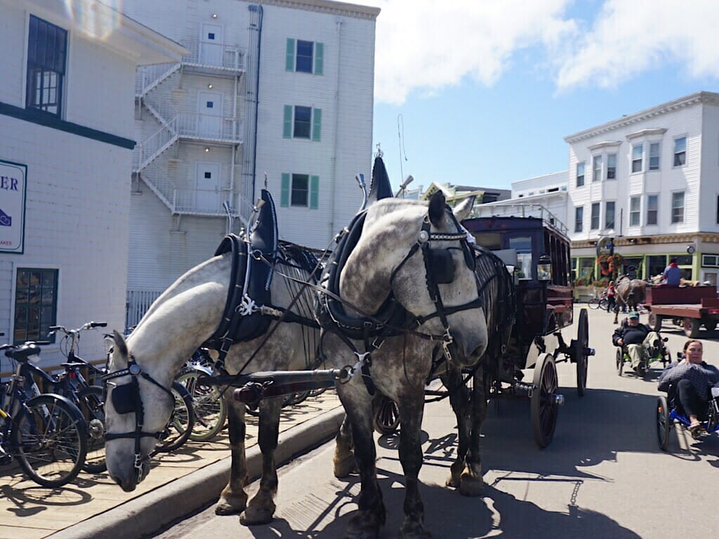 Mackinac Island carriage 