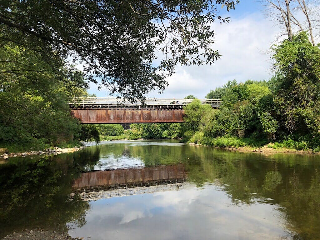 View of the White Pine Trail