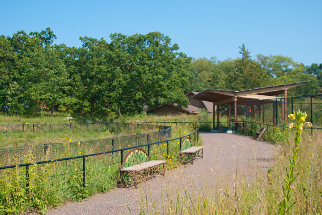 International Crane Foundation