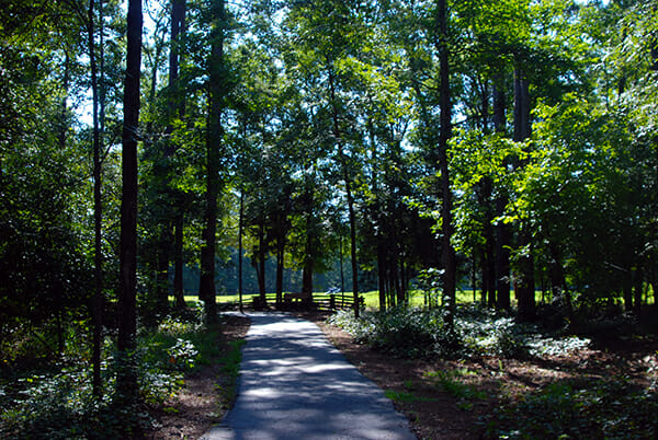 Interpretive trail at Ninety Six