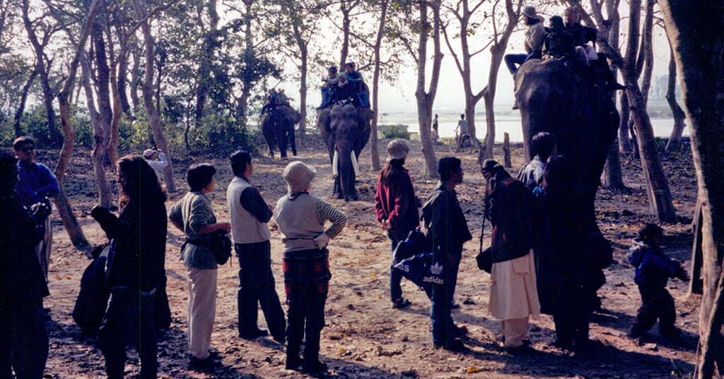 Loading and unloading elephants