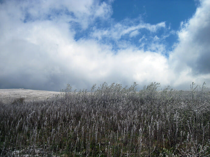 Max Patch in snow