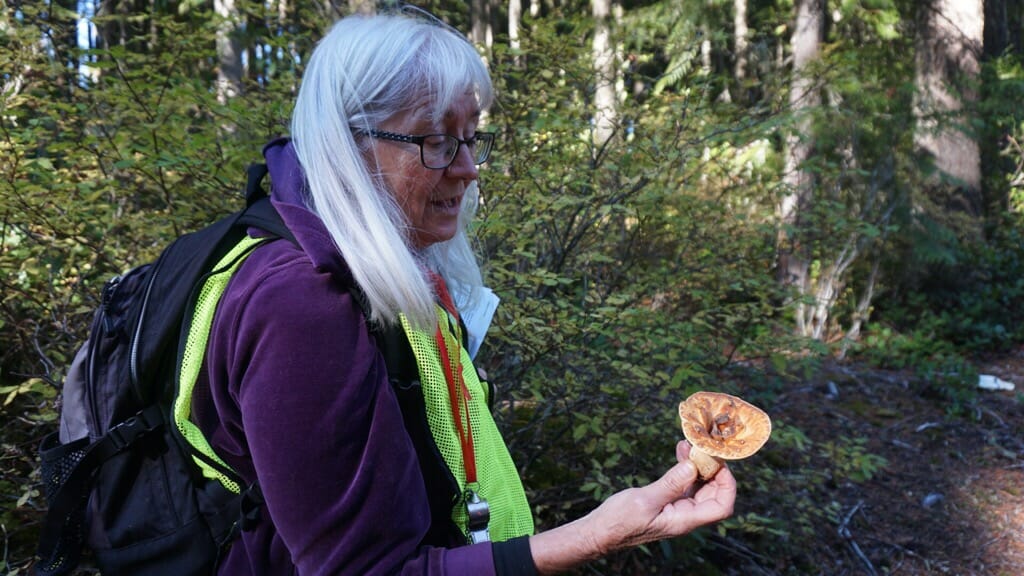 Naturalist Diana Reeck