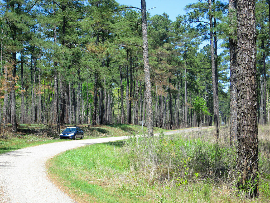 Lick Fork Sumter National Forest