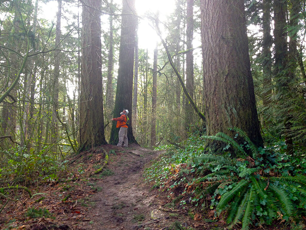 Finally getting into the woods