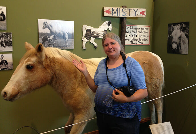 The real Misty at the Chincoteague Island Museum