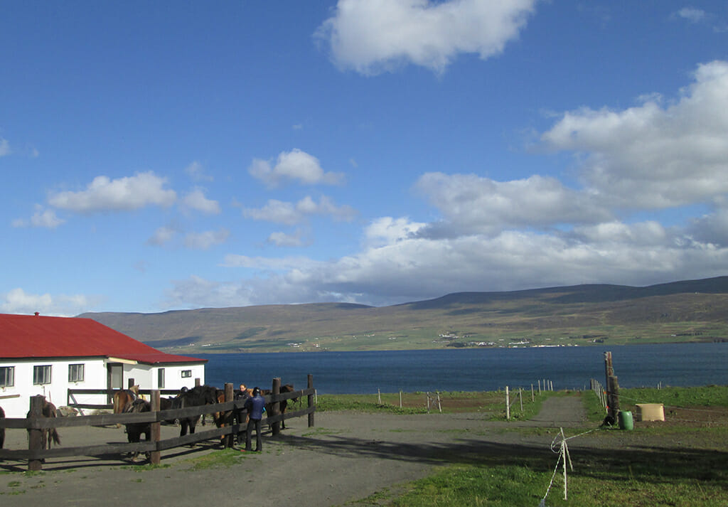 The stables at Skjaldarvík