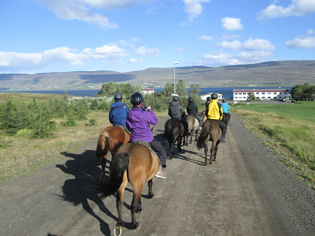 Riding back to Skjaldarvík 