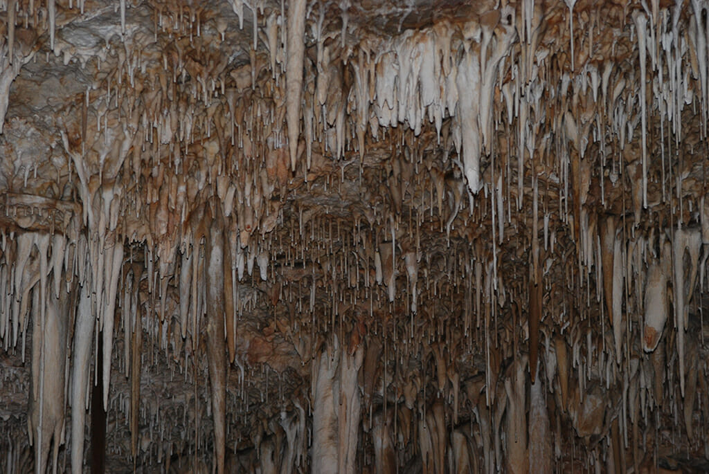 Dense stalagmites in Soreq