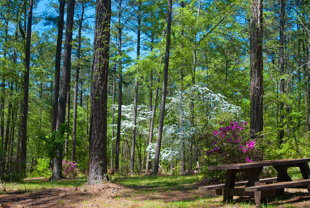 Lick Fork Recreation Area