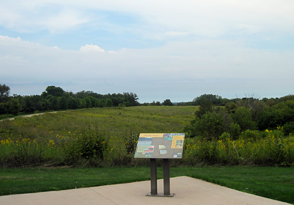 Tall grass prairie at Mines of Spain