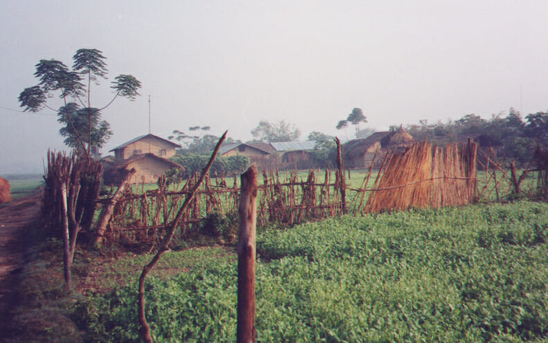 Tharu village