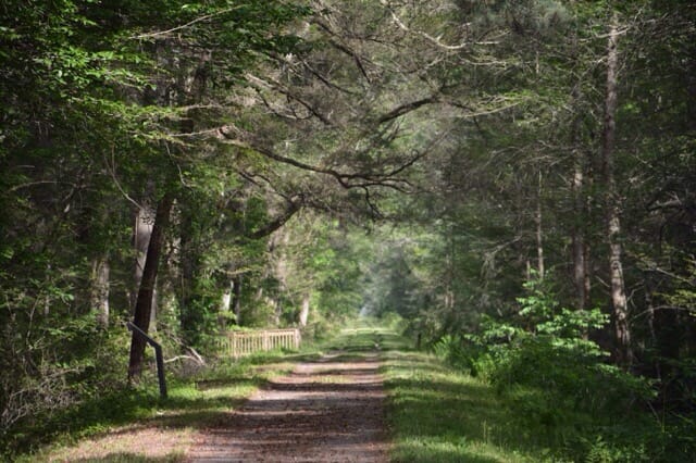 Trail along the Washington Ditch