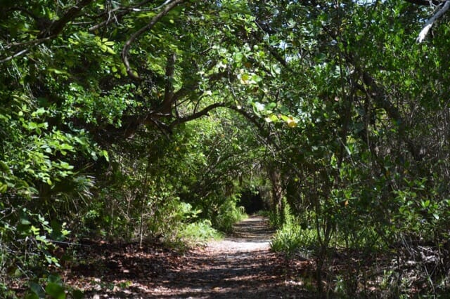 Barefoot Beach Naples
