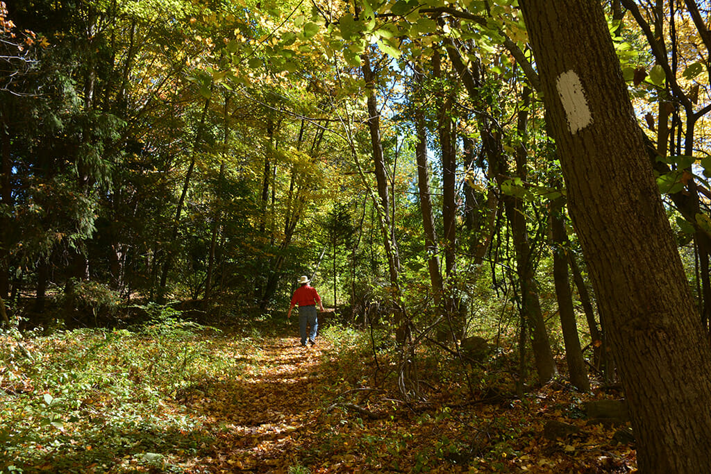 The Appalachian Trail at Waywayanda