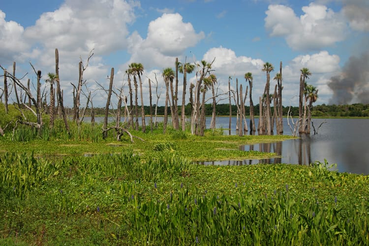 Orlando Wetlands Park