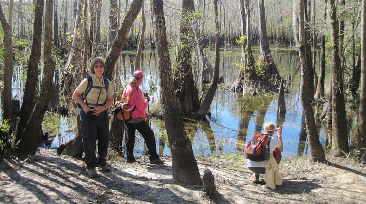 Women at the edge of a cypress swamp