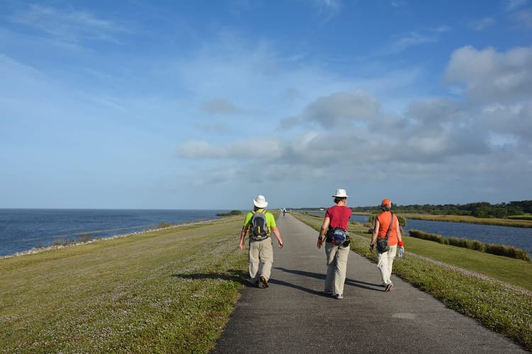 Along the Florida Trail on the Big O Hike