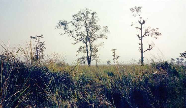 Royal Chitwan National Park