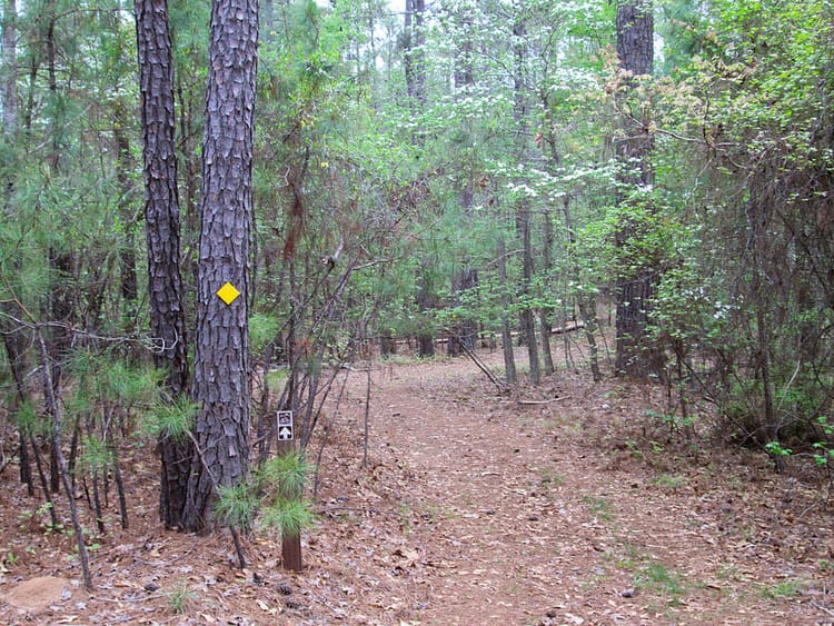 On the Baker Creek Mountain Bike Trail