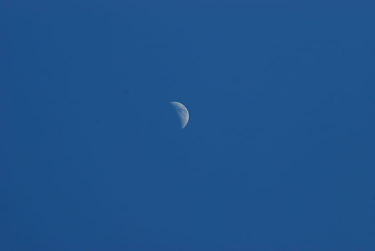 Moon from Dicerandra Scrub, Titusville