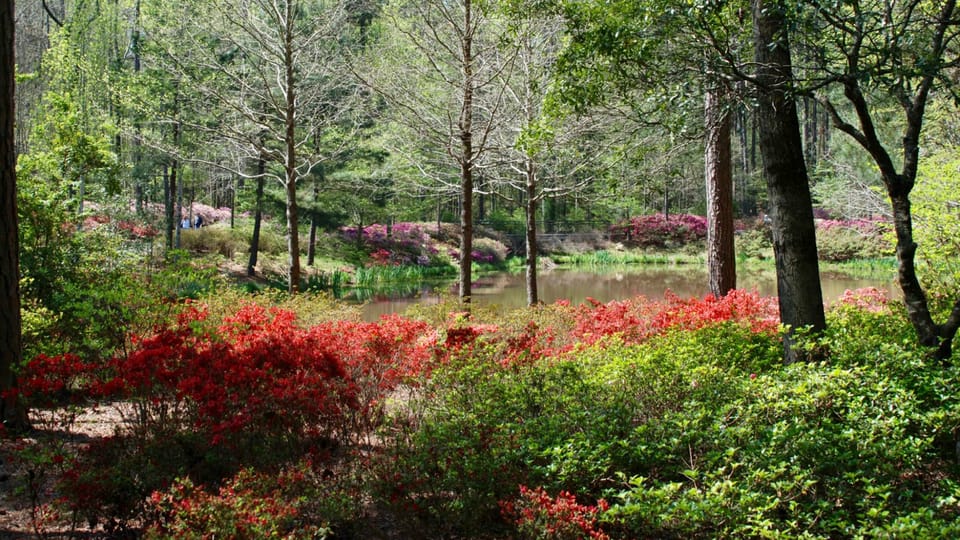 Callaway Gardens