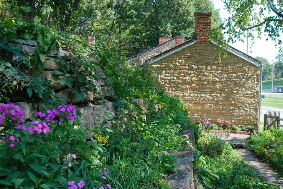 Hillside garden at Pendarvis