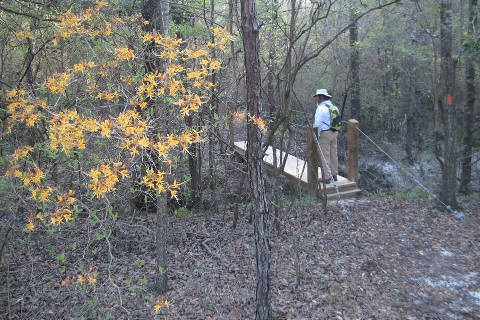 Calhoun, Chipola, and the Altha Trail