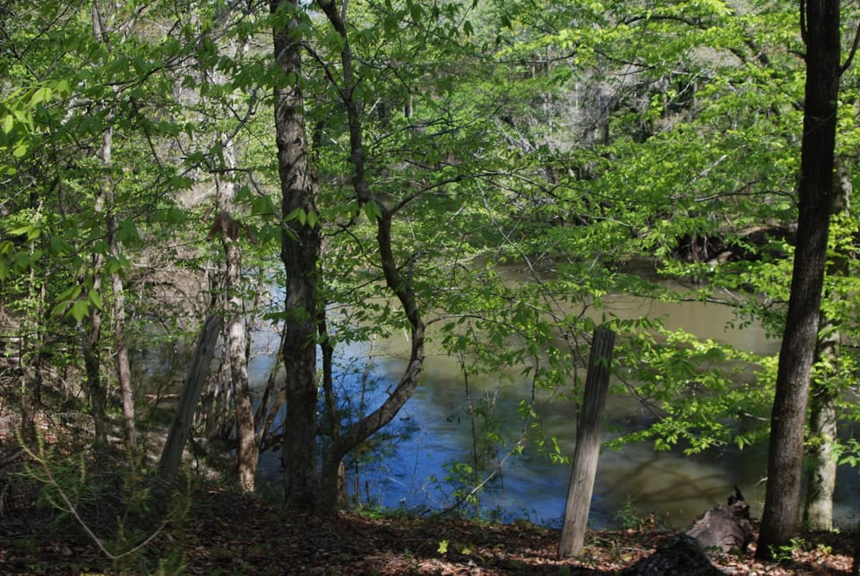 Ramble on the new Hinson Trail