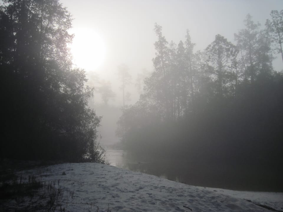 Creek and surroundings in hues of sepia and smoke