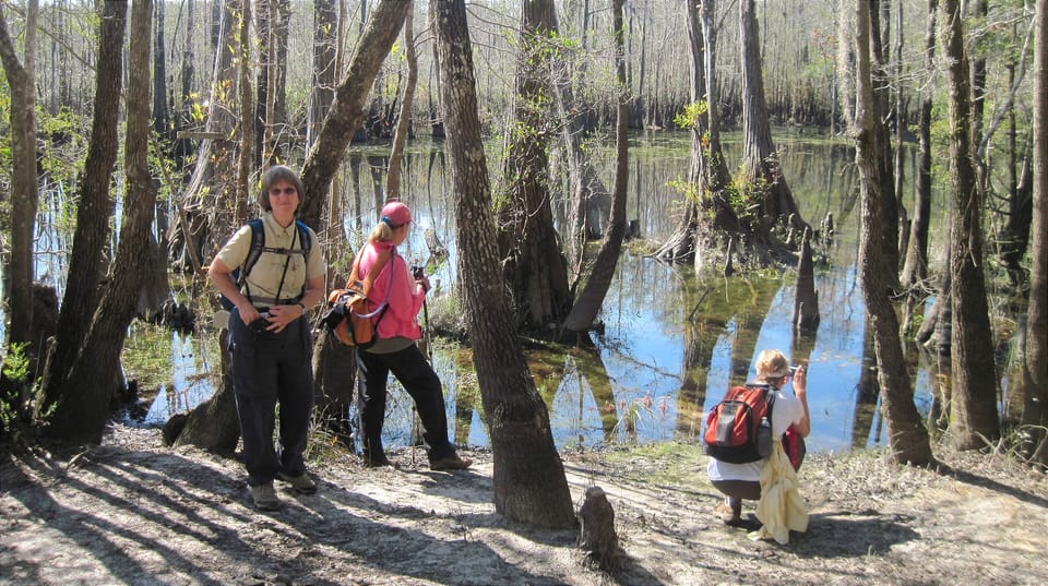 Women at the edge of a cypress swamp